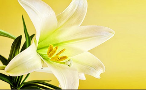 �μ��ٺϻ�[�ر�]