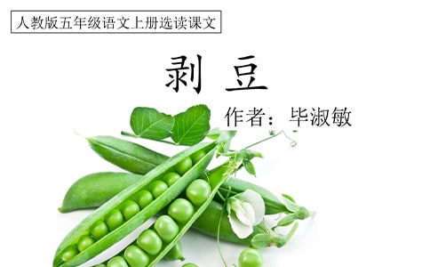 梦见剥豆子