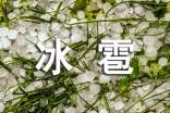 梦见冰雹砸人