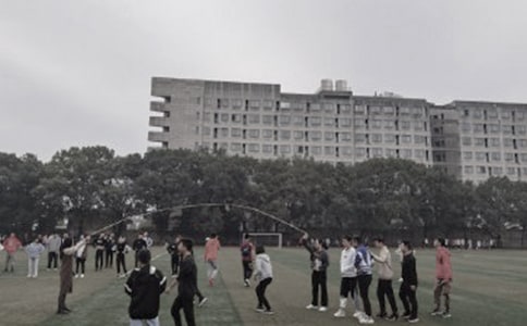 梦见操场上长满了树和草