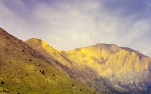 梦见在大山上