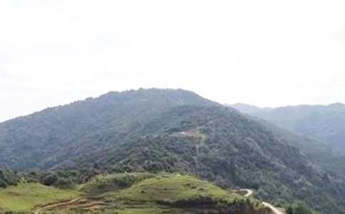 梦见在大山中间