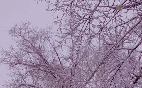 孕妇冬日不能做的3件事
