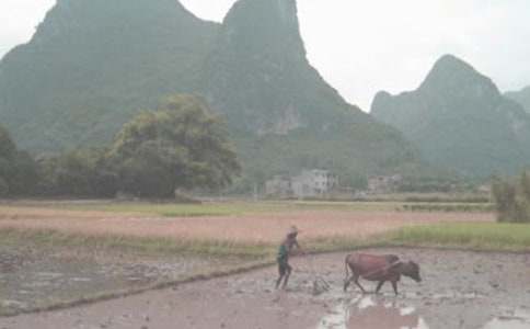 �μ�ţ����