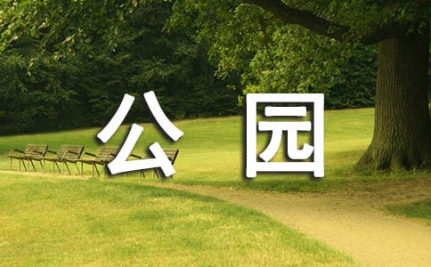 梦见公园里有水池