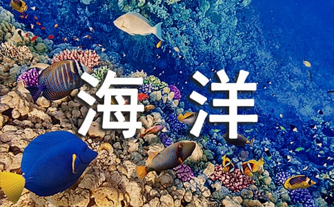 梦见去海洋馆