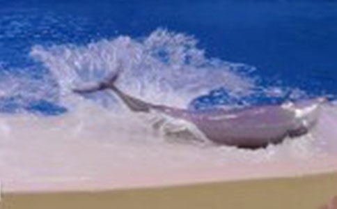 �и��μ��������к�����Ů��