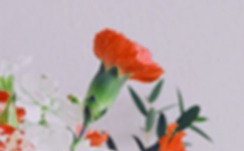 梦见花、花朵