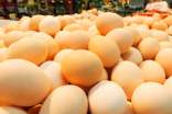 孕妇吃鸡蛋越多越好吗 孕妈吃鸡蛋别陷入这些误区