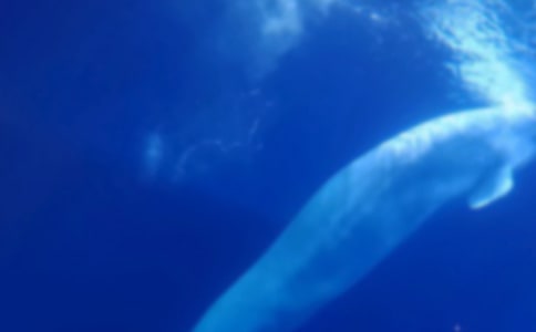 �μ�������ˮ������