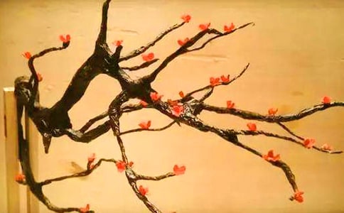 梦见梅花骨朵树
