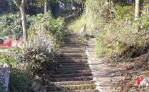 梦见旅游爬山看日出