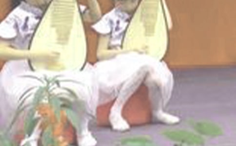 梦见琵琶树