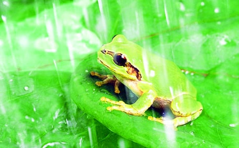 �μ���ҧ����