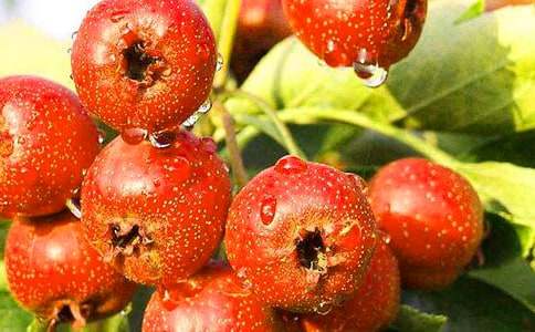 �и��ܳ�ɽ���