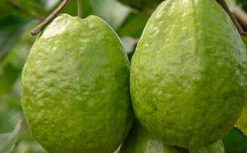 �и��ܳ�ʯ����