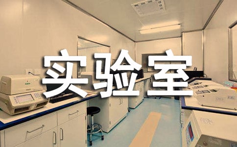 梦见实验室