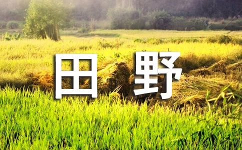 �μ���Ұ�������Ͳ˻�