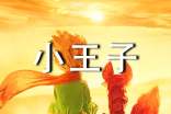 2025年通用小王子的语录汇编95条
