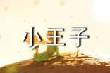 2024年通用小王子的语录合集97句