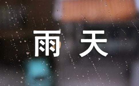 梦见雨天捡钱