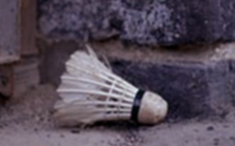 梦见打羽毛球