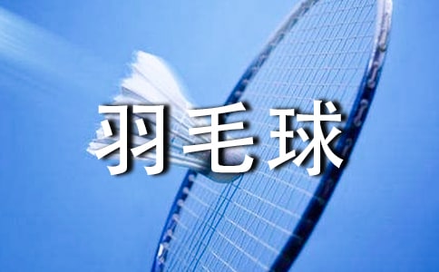 梦见羽毛球
