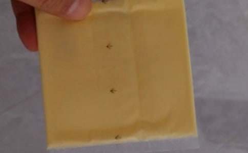 孕妇吃芝士有什么好处