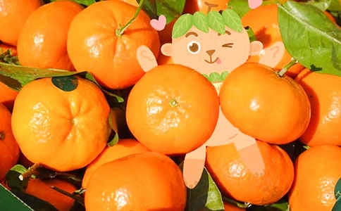 孕妇能吃橘子吗前三个月