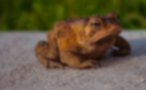 �и��μ����