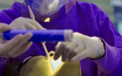 �μ�����