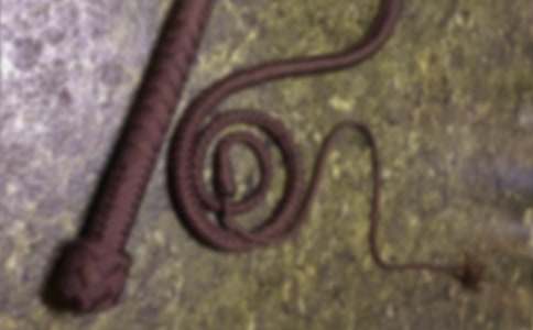 梦见自己被鞭子打