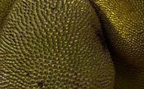 �и��ܳԲ�������