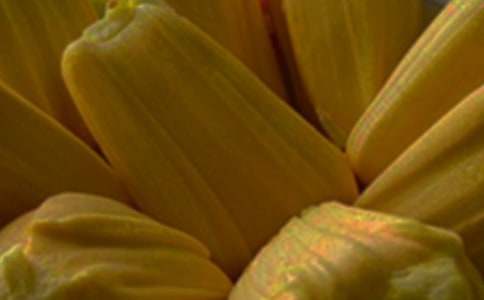 �и��ܲ��ܳԲ�����