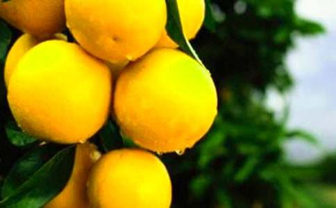 �и������Գ��Ӻ���