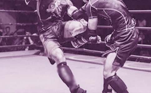 ��ܣ�����8ƪ��