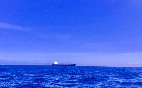 �μ�����