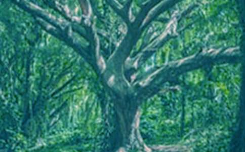 �μ���������