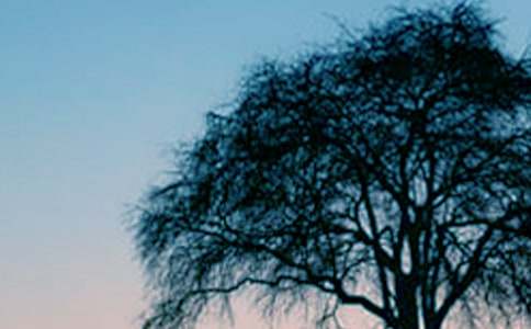 �и��μ�һ�Ŵ���