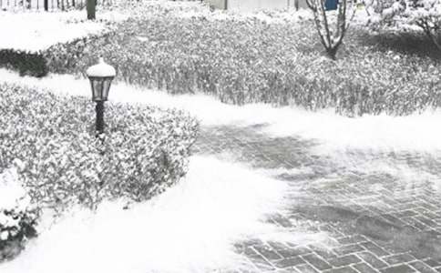 �и�������ʳ����