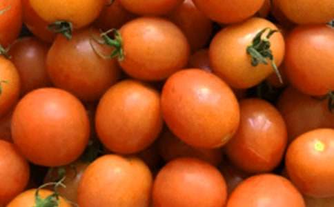 �и��ܳ�С������