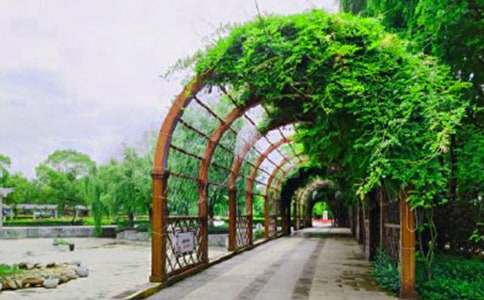 �μ���԰�޹�