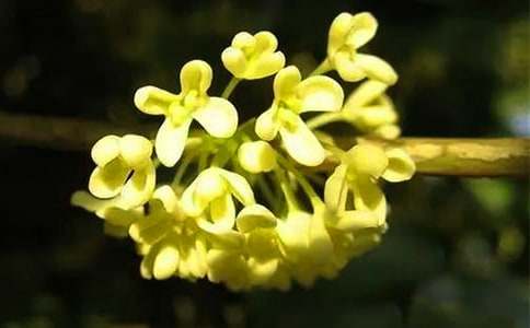 �𻨾��и����Ժ���