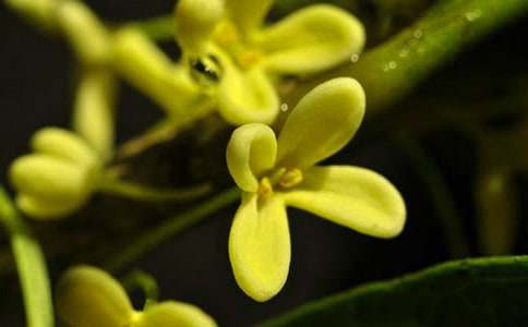 �и��ܳԹ�����