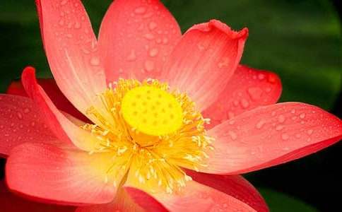 �и��ܳԺɻ���