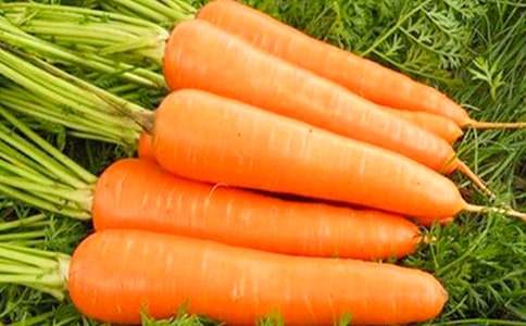 �и��Ⱥ��ܲ�֭����