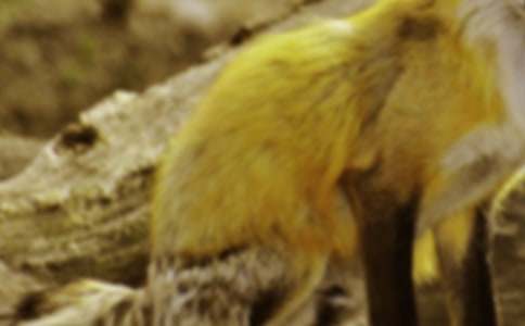 �μ���������