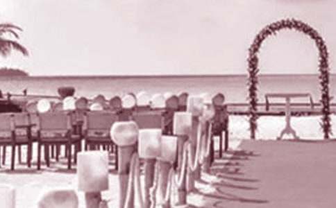 ����߻�7ƪ[�ϼ�]