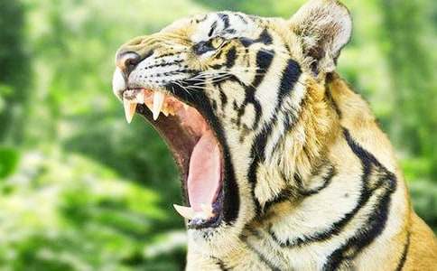 �μ������ϻ�