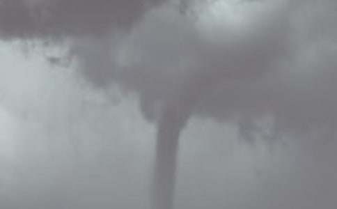 �μ�����������